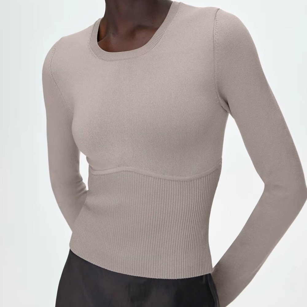 Aritzia Babaton sculpt long sleeve